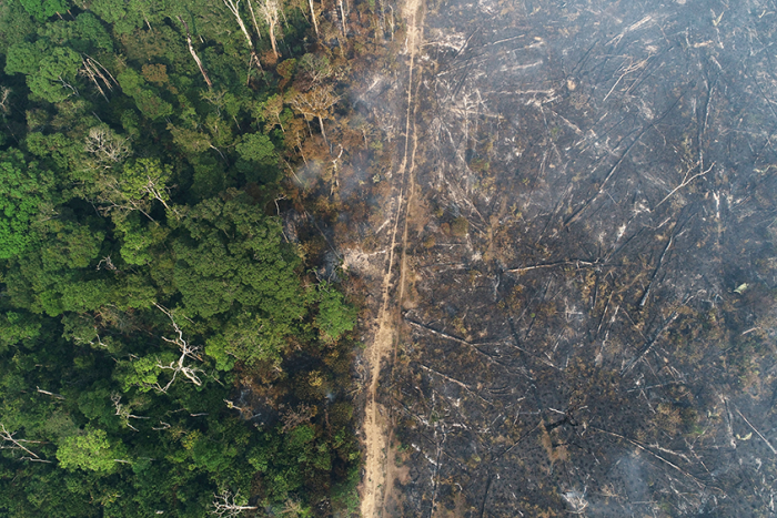 La Amazonía brasileña sufre la mayor deforestación registrada desde el año 2016