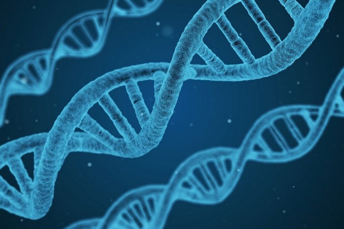 El análisis del genoma de una niña con lupus revela que una mutación genética es la causa de la enfermedad
