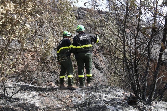 Alerta per risc alt d'incendis forestals a 25 comarques de Catalunya en ple març