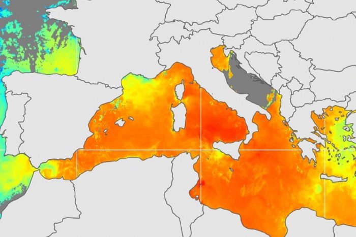 Una ola de calor marina calienta un Mediterráneo con temperaturas hasta 4ºC por encima de lo normal