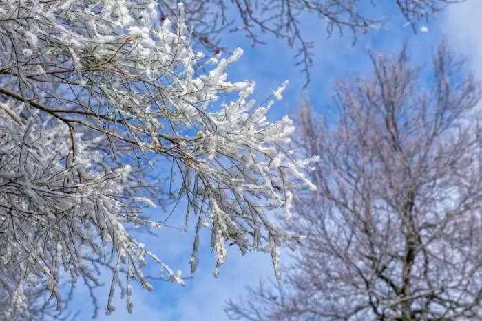 La borrasca Fien ya deja imágenes asombrosas de un invierno que llega tarde