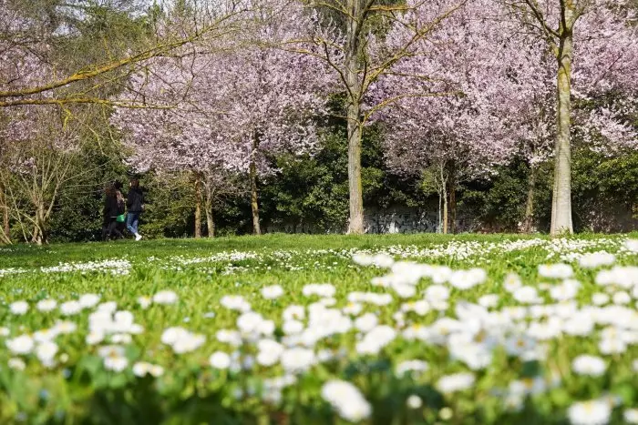 El tiempo en este primer fin de semana de la primavera y del cambio de hora