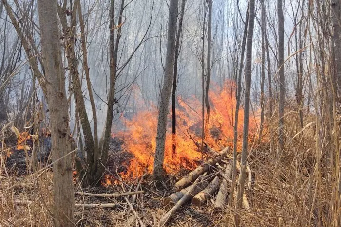 Els incendis forestals del 2023 cremen 1.521 hectàrees, la majoria fora de l'estiu