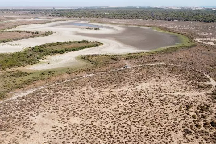 El Gobierno abre la puerta a intervenir en Doñana y aplicar un '155 ambiental'