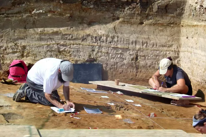 Troballa inèdita a Caldes de Malavella: una gran au aquàtica de 3,1 milions d'anys