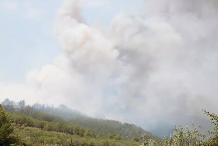 Estabilitzat incendi forestal al Pont d'Armentera