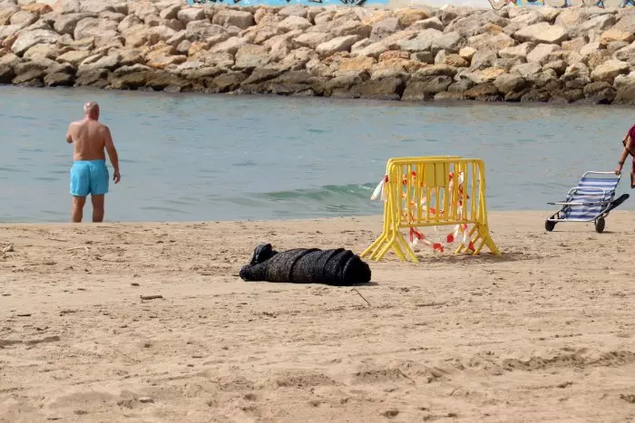 El cos sense vida trobat a la platja de Roda de Berà seria d'una nena d'uns sis mesos