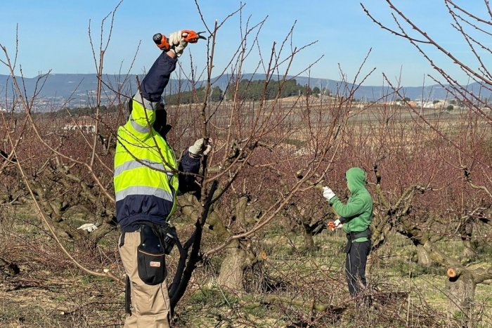 L'accés a la contractació pública de l'economia social: una assignatura pendent a Catalunya