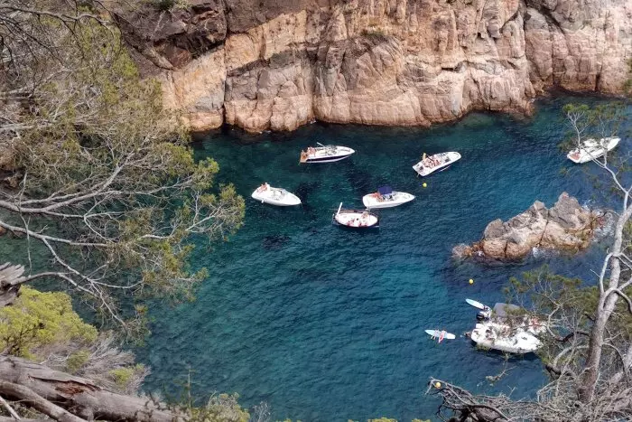 SOS Costa Brava denuncia la impunitat del fondeig salvatge al litoral de l'Empordà