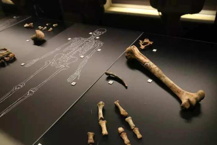 Identifiquen 54 restes neandertals de fa més de 50.000 anys a la Cova Simanya