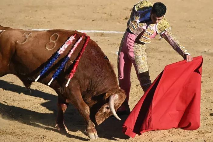 Castilla y León convoca dos premios para fomentar el estudio de la tauromaquia