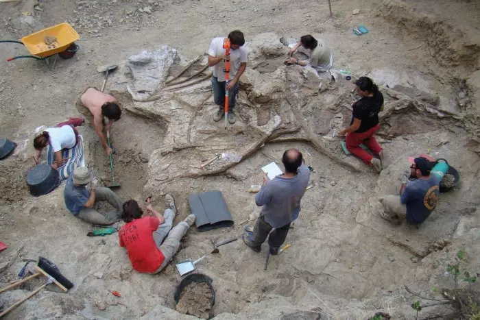 Descubren uno de los dinosaurios más grandes de Europa en un municipio de Castelló