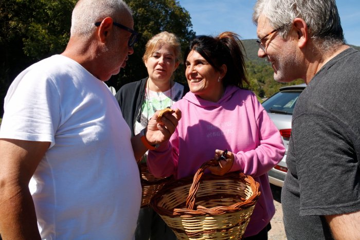 8 consells imprescindibles per buscar i collir bolets a Catalunya