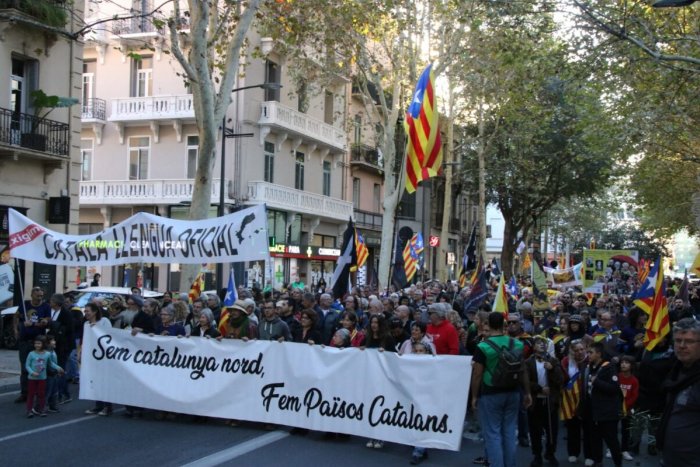 Més d'un miler de persones es manifesten a Perpinyà i reclamen l'ús del català als plens