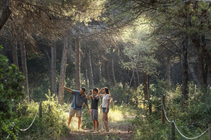 Set propostes per descobrir el Baix Llobregat: patrimoni modernista, espais naturals i gastronomia