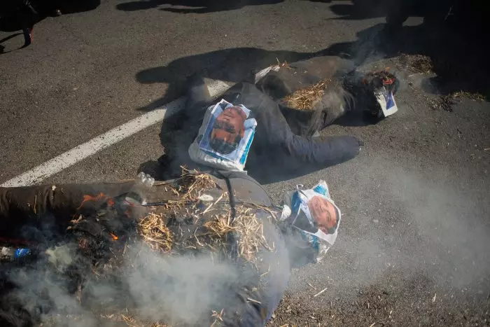 Los agricultores queman muñecos con las caras de Sánchez y Planas