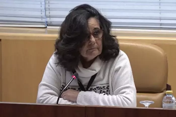 Marea de Residencias defiende en la Asamblea de Madrid que "no hubieran muerto igual"