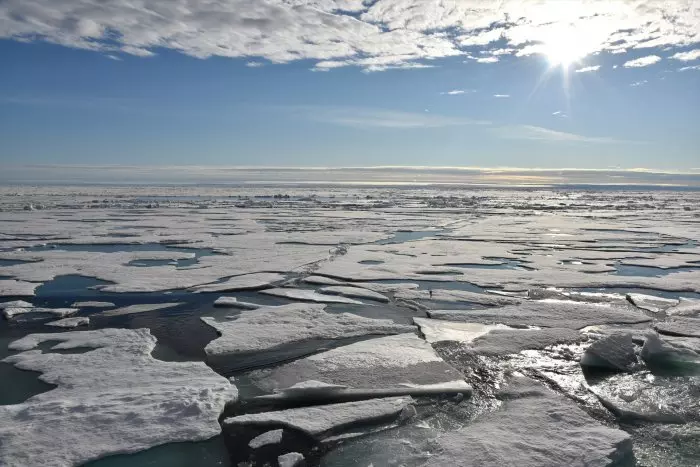 El Ártico puede quedar sin hielo en la próxima década