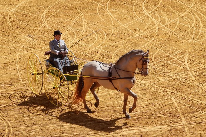 Un caballo muere en la Feria de Abril por un golpe de calor