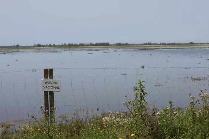 Doñana continúa en peligro pese a la mejora temporal tras las últimas lluvias