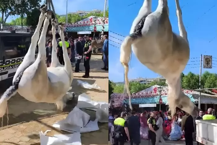 La Feria de Abril del maltrato animal