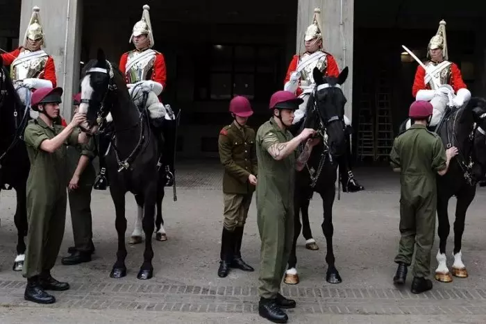 Varios caballos del Ejército siembran el caos en Londres y hieren a cuatro personas