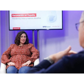 La directora general de Salud Pública de la Junta de Castilla y León, Sonia Tamames, en una imagen de archivo.