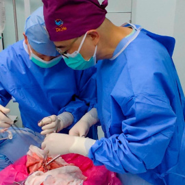 El equipo de investigadores chinos durante la intervención para realizar el primer trasplante de pulmón de cerdo a humano.