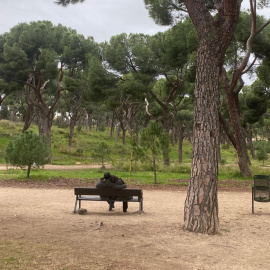 Si hace bueno, puedes sentarte debajo de algún árbol y tratar de simular cierta normalidad