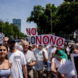 Manifestación contra el desmantelamiento del sistema sanitario público por parte del gobierno de Isabel Díaz Ayuso, en Madrid, a 31 de mayo de 2026.