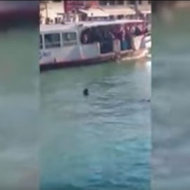 Un fotograma del vídeo