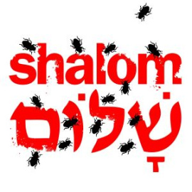 shalom-ok.jpg