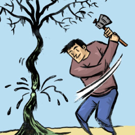 regimenmoruno-detalle