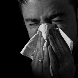  Foto: Andrés Nieto Porras, Flickr