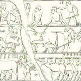 La escena (copiada por el egiptólogo Lepsius) muestra un grupo de escribas contando cabezas de ganado. En la segunda fila podemos observar 835 cabezas a la izquierda, y alrededor de 2235 cabras a la derecha. En la fila inferior se pueden observar 760 asn