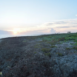 La costa caribeña en la que Colón tocó tierra en 1492. Authentic Travel/Shutterstock