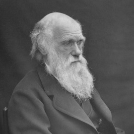 Retrato de Charles Darwin tomado alrededor de 1874 por su hijo Leonard Darwin. Wikimedia Commons / Leonard Darwin, CC BY-SA