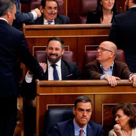 Ortega Smith saluda a Abascal en su primer día en el Congreso. EFE