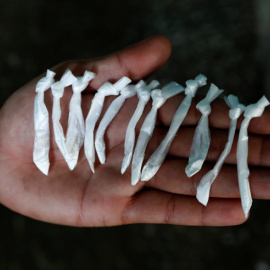 Un miembro de banda narcotraficante MS-13 muestra pequeñas bolsas de plástico que contienen cocaína en San Pedro Sula, Honduras. REUTERS/Goran Tomasevic