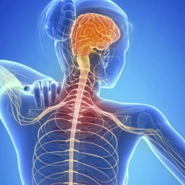 30 de Mayo, Día Mundial de la Esclerosis Múltiple.