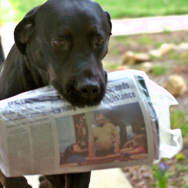 Un perro lleva el periódico a su criador. Foto: Russell Harrison (Flickr)