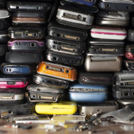 Mykola Vakal / Shutterstock