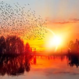 Shutterstock/muratart