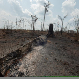 Una de las áreas destruidas por fuego en la selva amazónica, en el estado de Rondonia (Brasil). EFE/Joédson Alves.