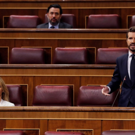 El líder del PP, Pablo Casado, interviene en la primera sesión de control al Gobierno desde que se declaró el estado de alarma. EFE/Ballesteros