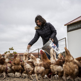 Pilar, una ganadera agroecológica, da de comer a sus gallina. FOTO: Olmo Calvo