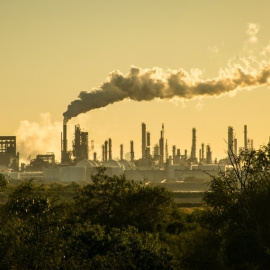 Shutterstock/Roschetzky Photography