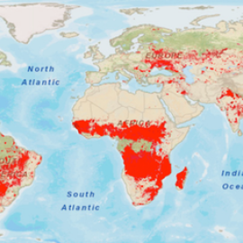 Área quemada en el mundo durante 2018 según el satélite MODIS de la NASA. El 70 % de los incendios se dan en la sabana africana, rodeando al bosque tropical de la cuenca del Congo.  Sistema EOS (LANCE) del Sistema de Información y Datos de Ciencias de