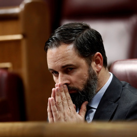 El líder de Vox, Santiago Abascal, durante el pleno celebrado este miércoles en el Congreso. EFE/Mariscal