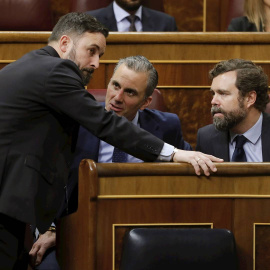 Santiago Abascal, Javier Ortega Smith e Iván Espinosa de los Monteros, en el Congreso. / EFE